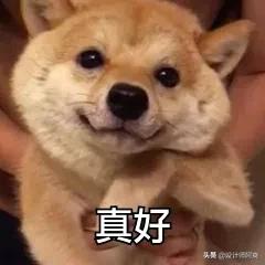 阳台就该这么装,原来阳台还能这样装