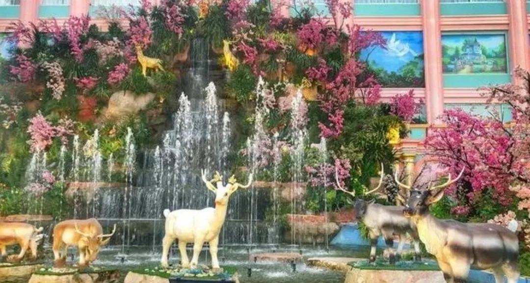 阿莲的聊天,阿莲聊短视频