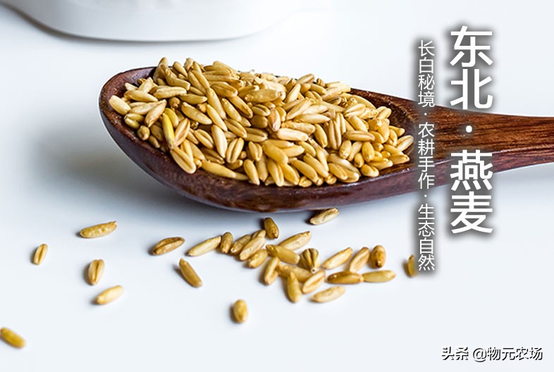 营养餐如何让燕麦更美味可口,营养早餐燕麦搭配食谱大全