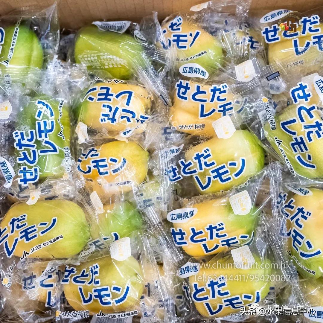 进口水果生意年入千万,批发水果月入百万