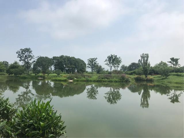 良渚文化村和良渚遗址公园的区别,良渚古城遗址文化村