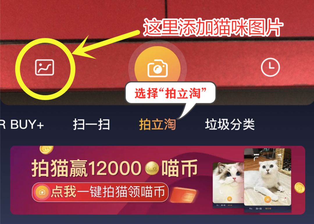 喵币隐藏攻略,淘宝领喵币隐藏任务