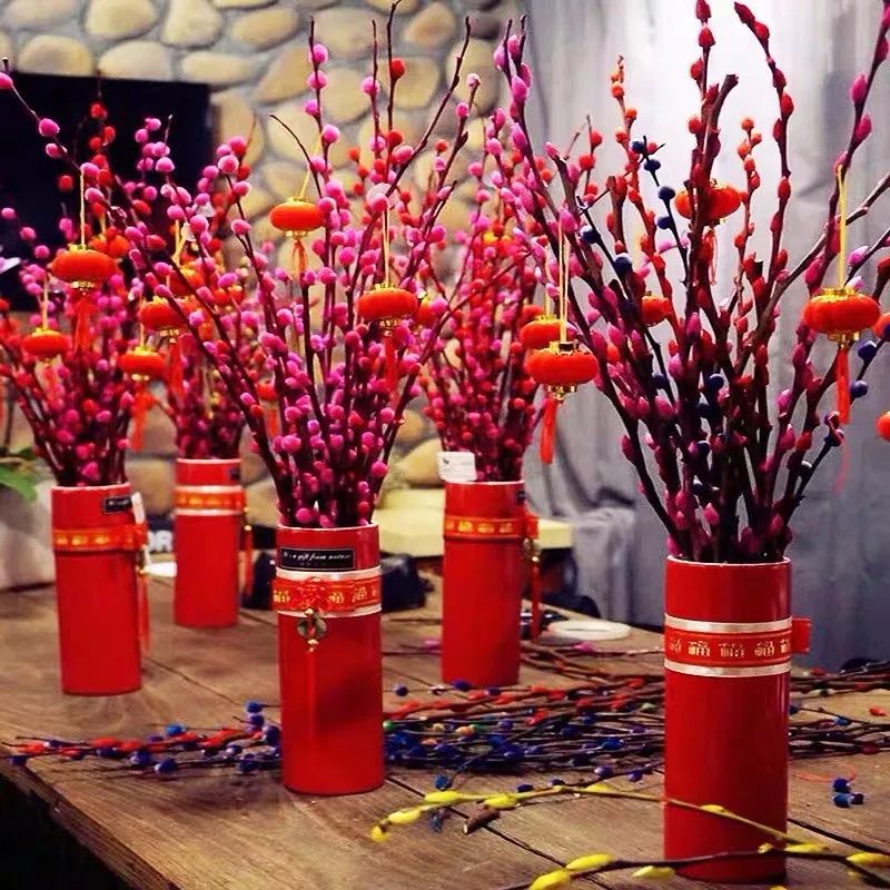 什么花喜庆又好养又好看,家养最旺财的十种花推荐