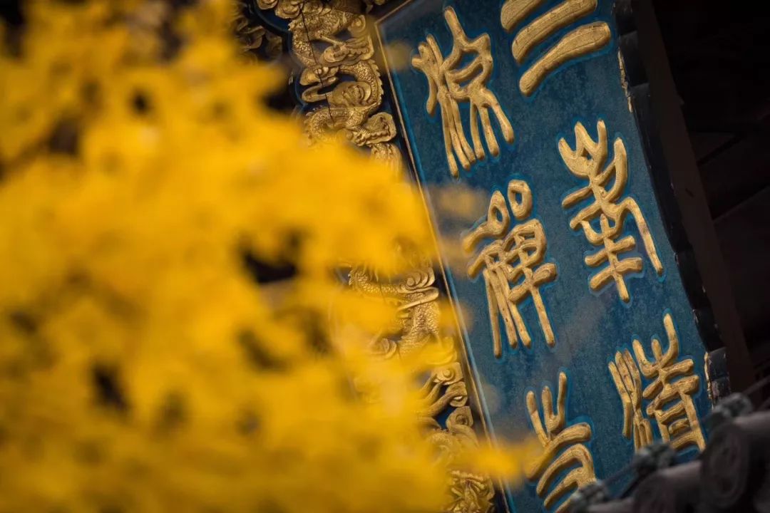 一入秋西安就美成长安,一入秋杭州就美成临安