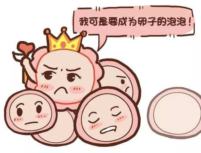 促排卵期间卵泡长得慢是什么原因,促排卵会导致卵巢功能储备下降吗