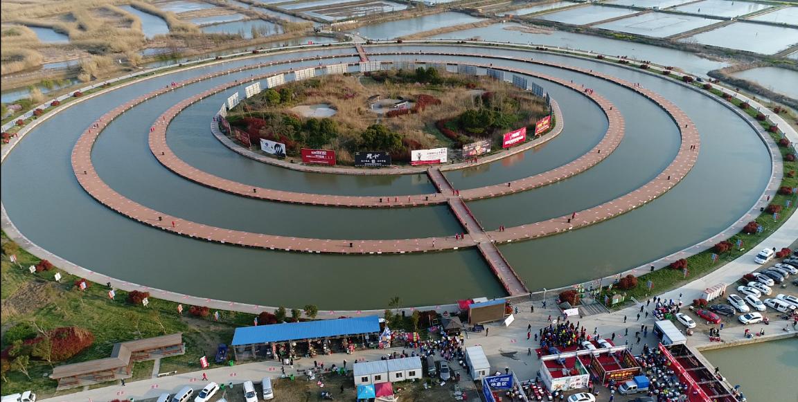 佳钓尼团体夺冠视频,夺魁总决赛