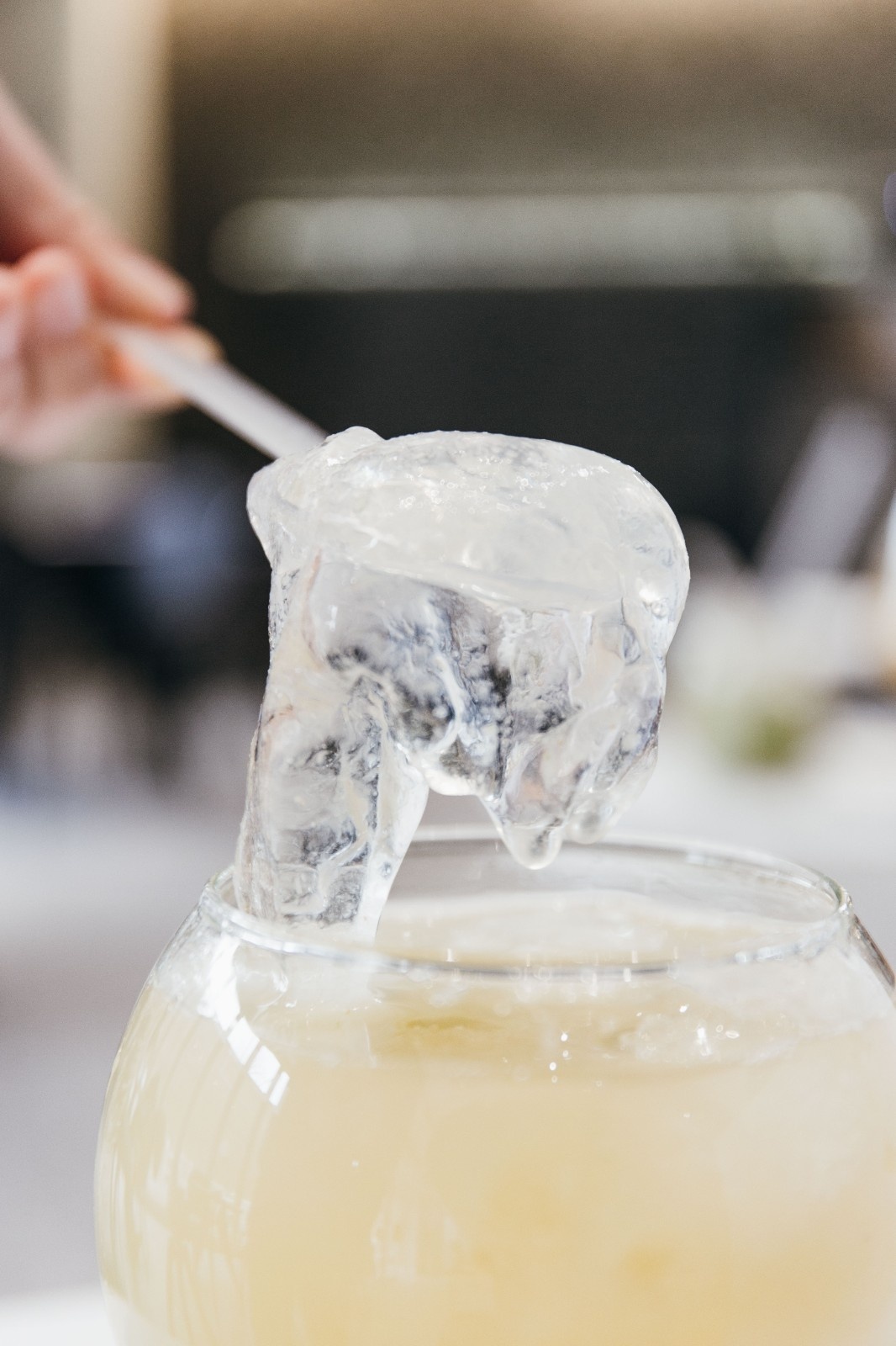 喜茶来啦,优雅气质喜茶