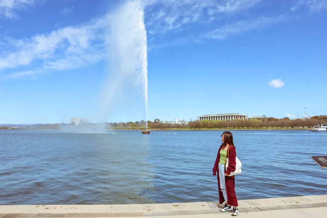 澳洲|春意堪培拉,看袋鼠、品酒、赏花、住进动物的家