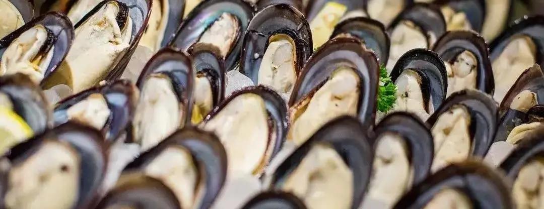 鑸屽皷涓婄殑缇庨娣卞害涔嬫梾,甯︿綘浜彈鑸屽皷涓婄殑缇庨