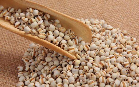 入冬适合吃的祛湿粥,煲祛湿粥