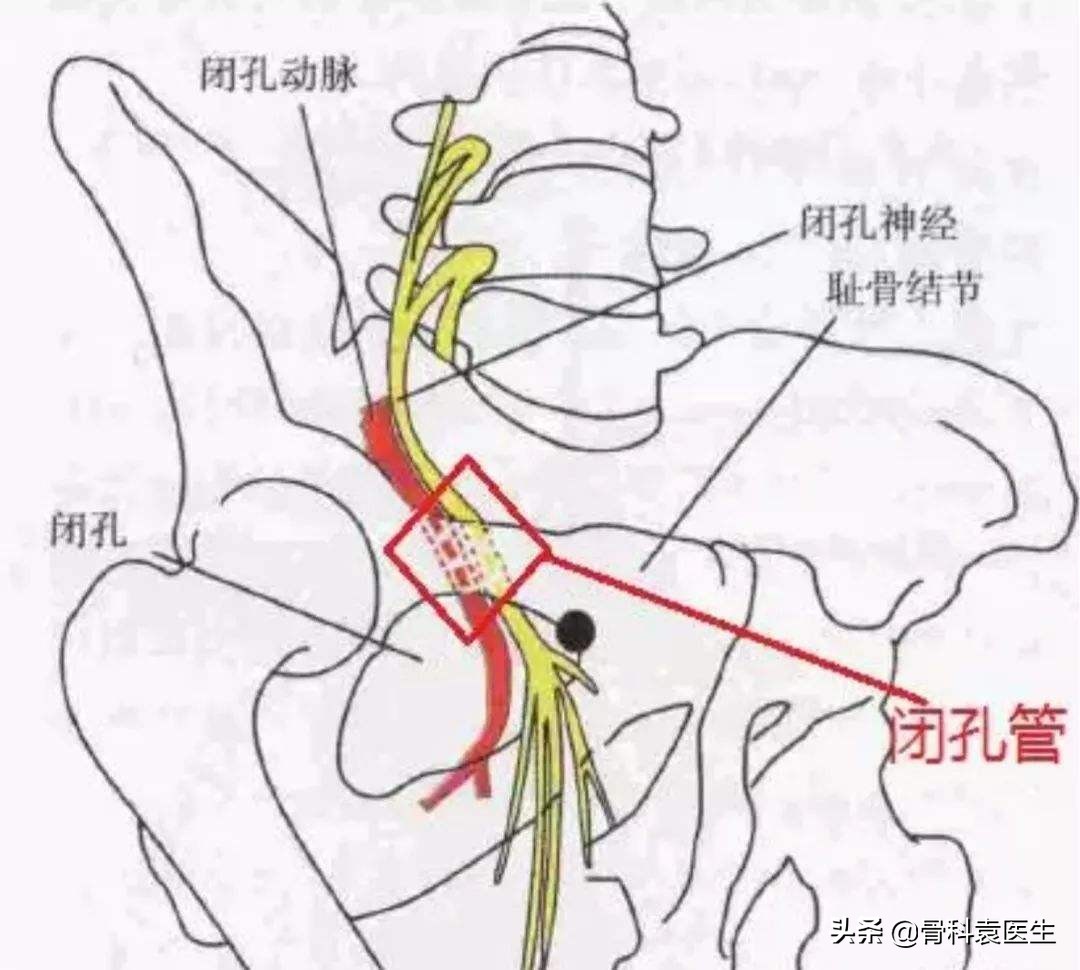 膝关节的痛的位置,膝关节疼痛原始点