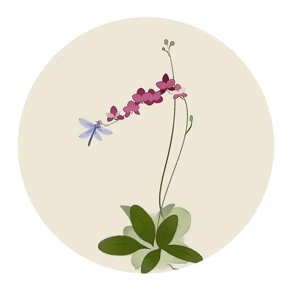 十首绝美唐诗赏析,最美十首唐诗经典加赏析