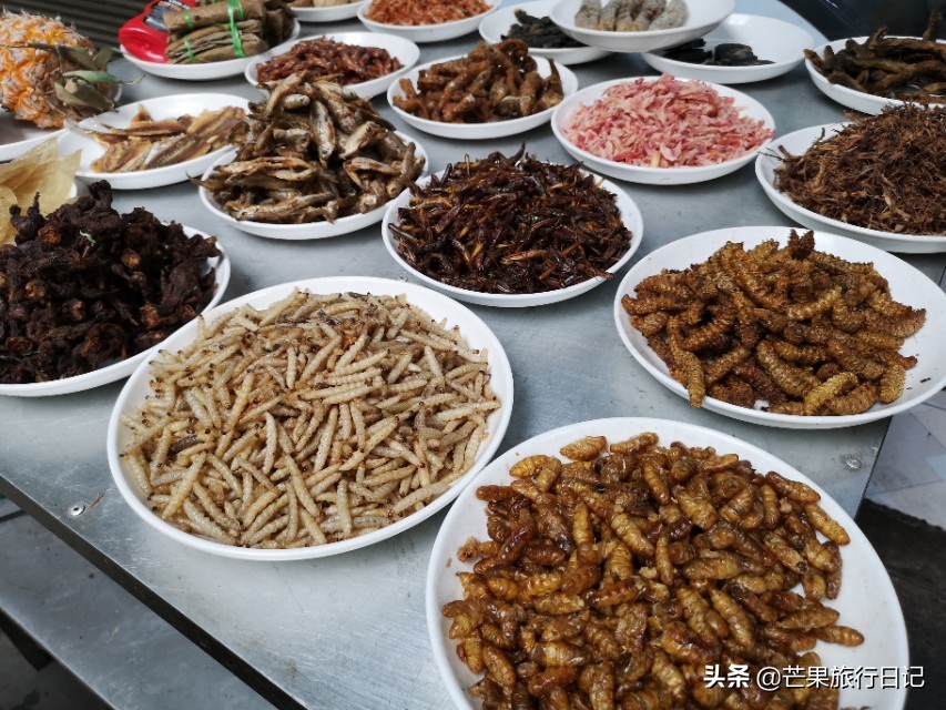 两个广东女孩越南自由行，老街返回云南河口，回到祖国母亲怀抱