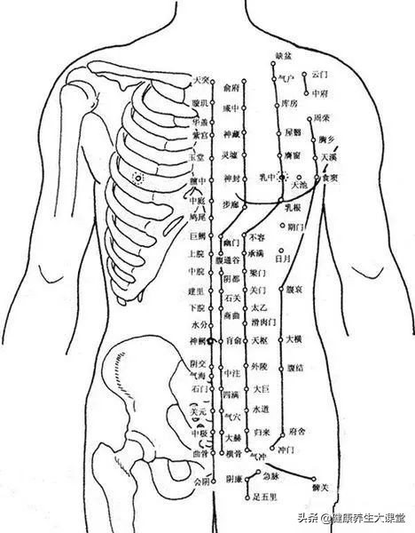 把穴位像药物一样分类后，运用竟如此简单