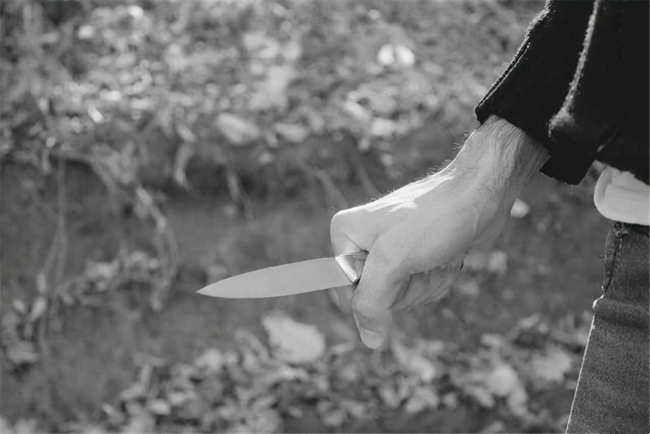 28条人命连环杀人案,保定一25岁女子被杀