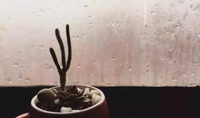 房子玻璃起雾有水珠怎么处理,冬天室内窗户玻璃冷凝水怎么解决