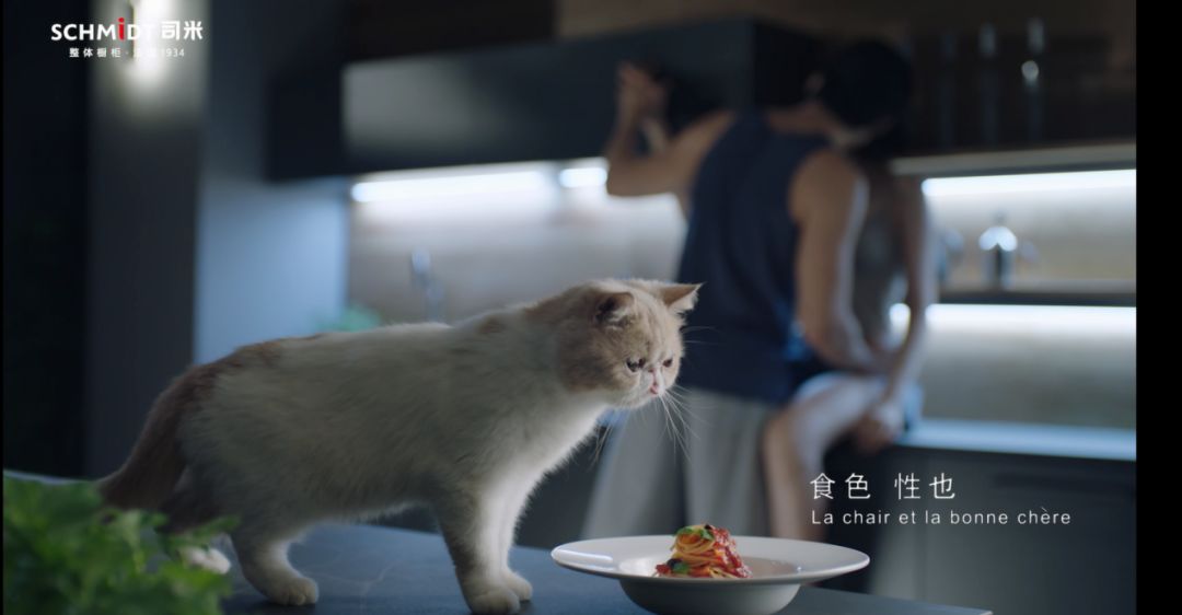 向上而生食品,向上而生完整版