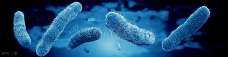 美女潜水时被海胆扎了，差点保不住手！夏季海岛游，专家建议要记牢