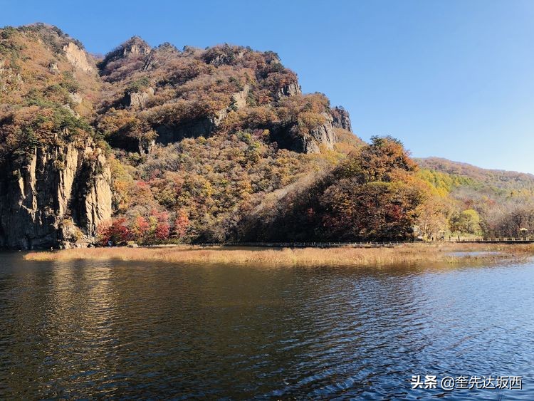 秋天的散文作文,秋天的诗歌随笔