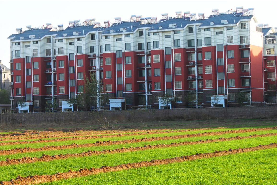 村小组不执行裁决怎么办,村民小组对村民违法该怎么办