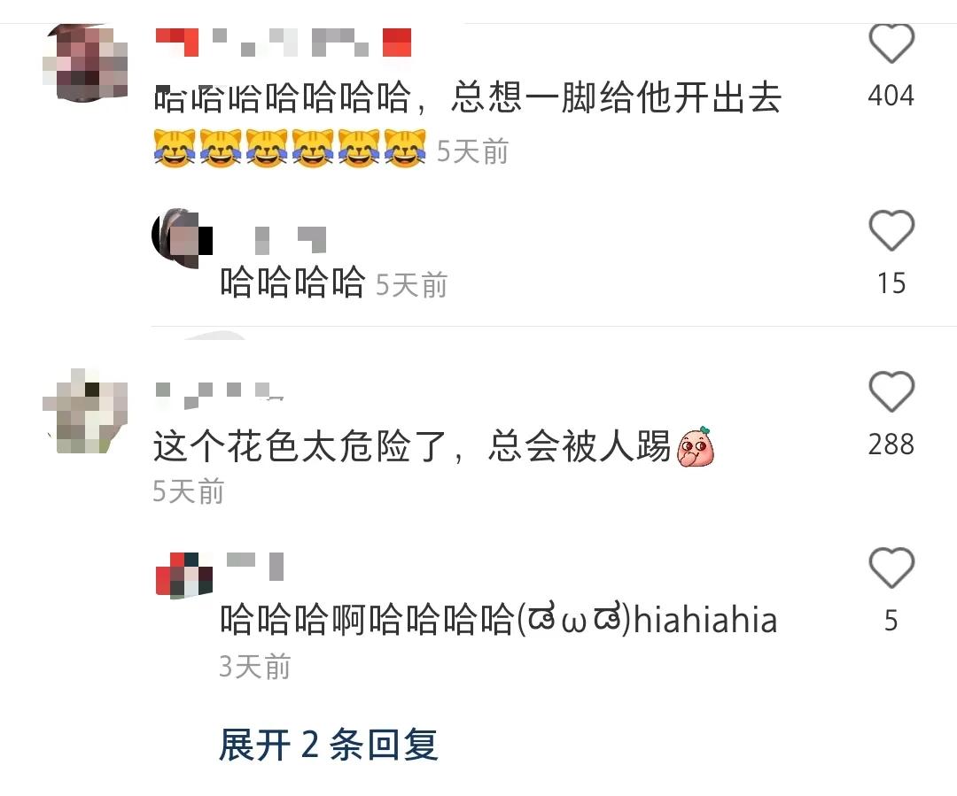 全球罕见足球猫冲上热搜,网友:指定染色!结果......哈哈哈哈