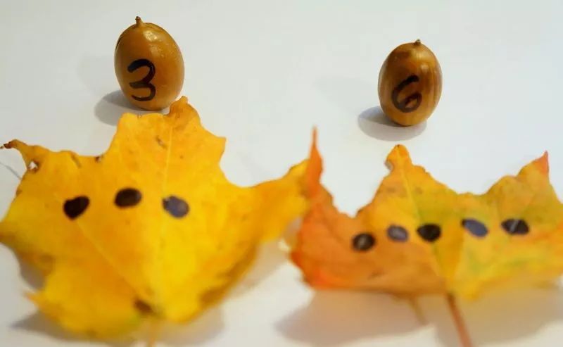 秋天落叶手工作业,秋天的颜色手工作业