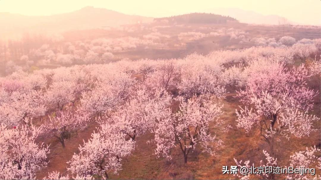 香山静宜园图片大全,香山静宜园二十八景