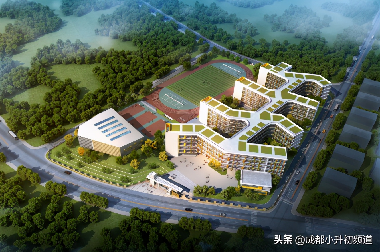 公办初中含金量,新的公办初中到底好不好