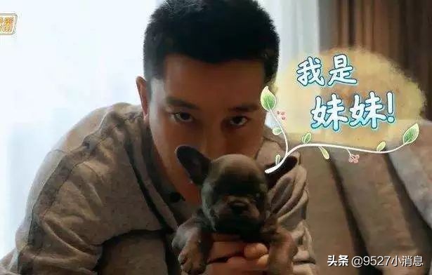 李小璐贾乃亮离婚风波,离婚声明李小璐贾乃亮