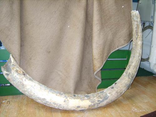 猛犸象牙如何开采的,猛犸象象牙在哪里挖的到