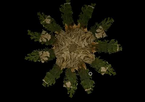 最敢挑战人性的行为艺术家，在网上教你思考一颗石头