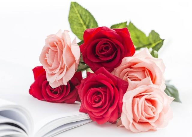 圣诞节送12星座什么礼物天平座,12星座给巨蟹座送礼物