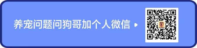 枫趣盛宴九种肉猫粮测评,加拿大枫趣宠粮怎么样