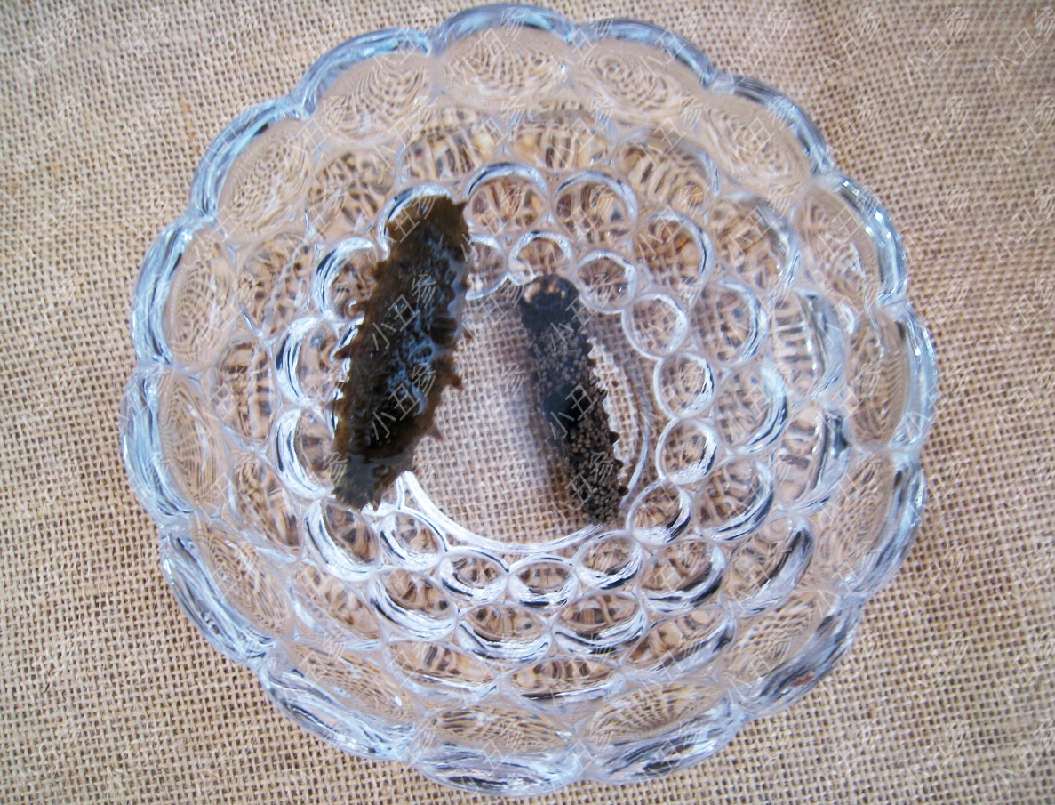 买海参都注意什么,泡发好的海参如何鉴别好坏