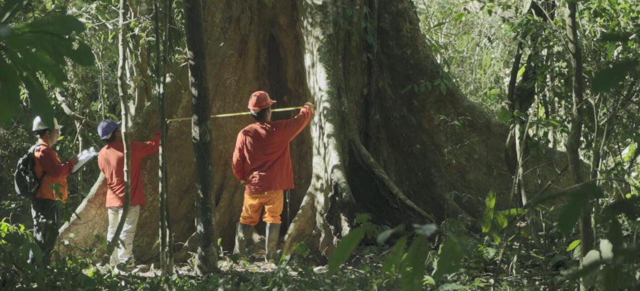 大自然家居是五百强吗,大自然实木地板销量五连冠