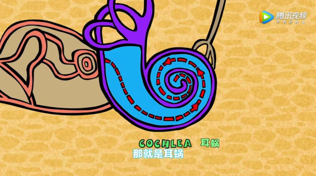 最近迷上了一部动画，一查，原来它是首部诺贝尔奖科普动画