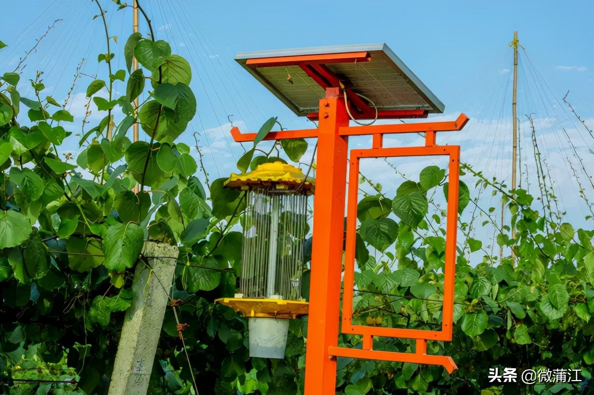 社会满意度考评,社会公众满意度测评宣传图片