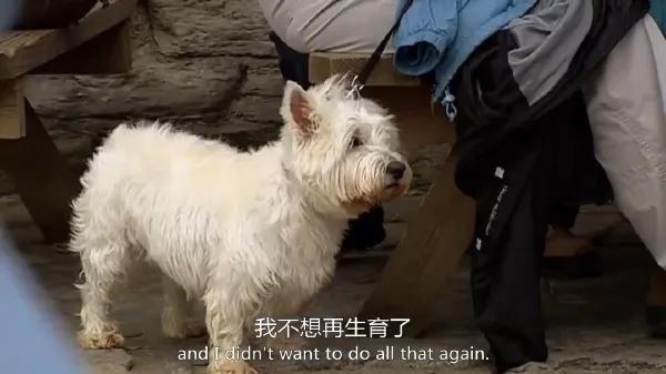 老公经常不在家怎么相处,老公失业在家做点什么能挣钱