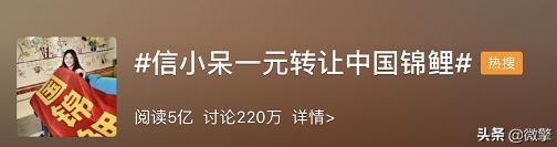 网上卖锦鲤套路,转让锦鲤一般多少钱