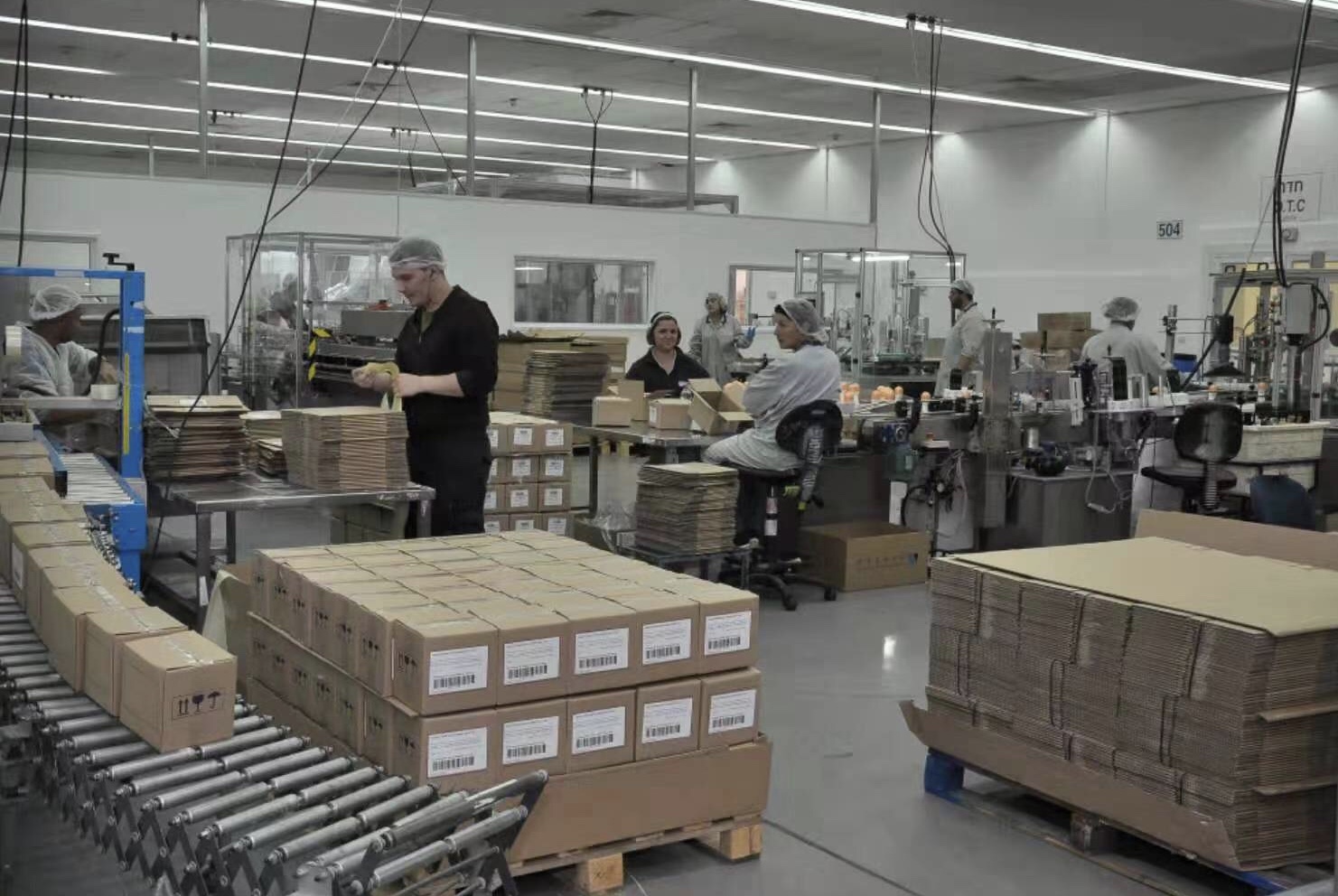 沙漠里的天猫双11：中国考拉拯救以色列工厂