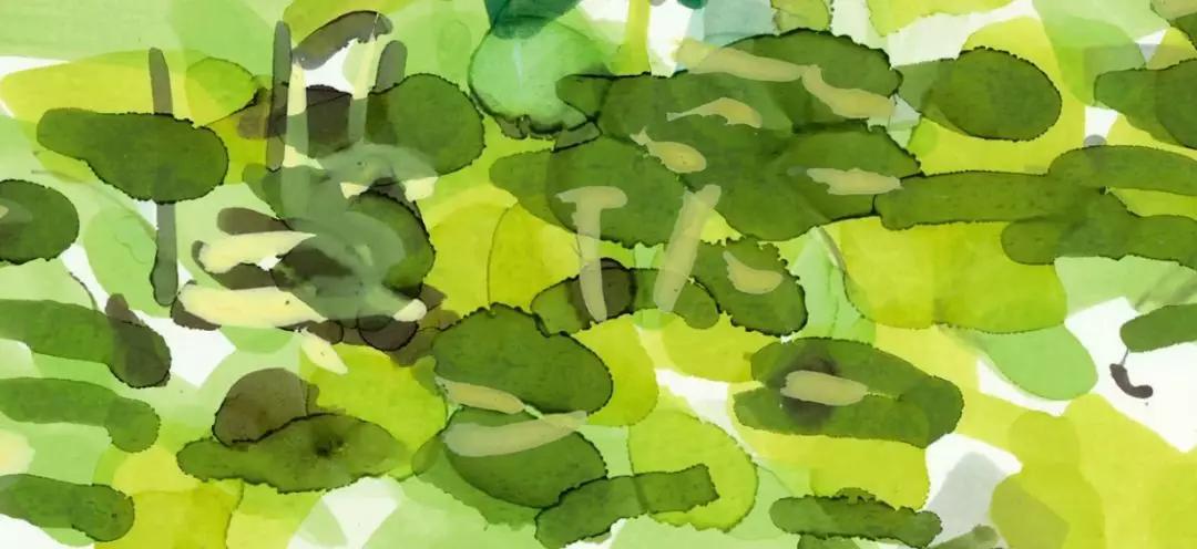 lv的插画,lv的包装设计