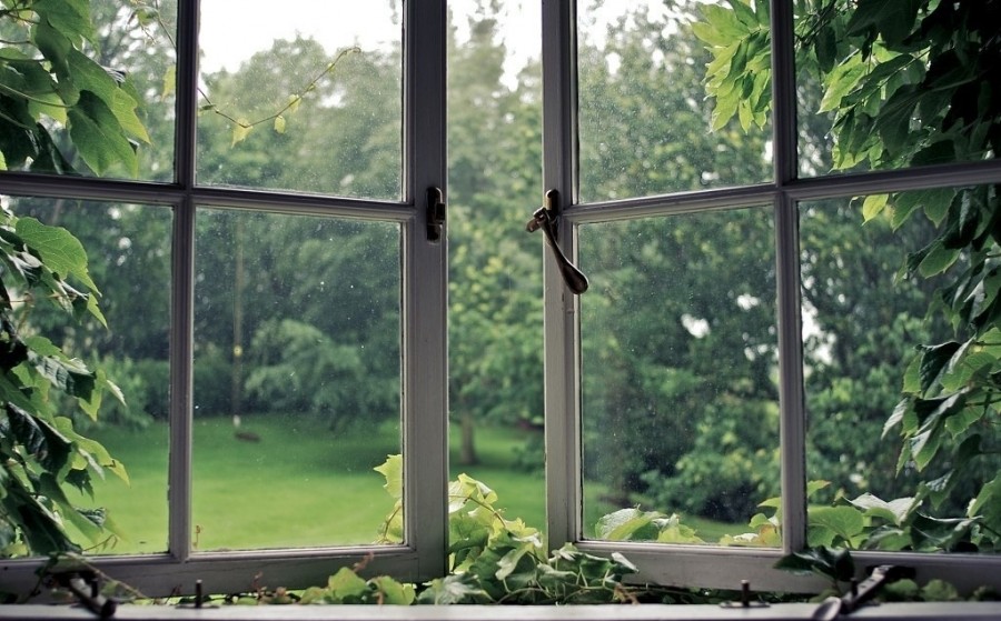 放一屋子绿植除甲醛有用吗,多放绿植可以除甲醛吗