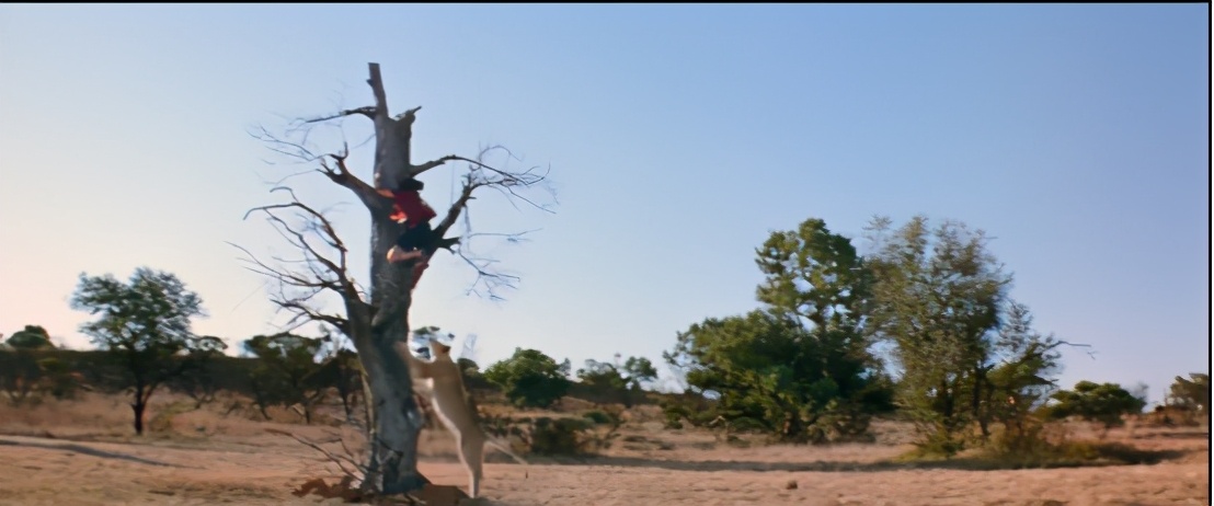 去非洲草原，要怎么做，才能不被狮子吃掉？