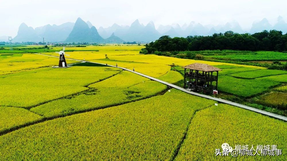 兴商活旅抓三产激发经济新活力——来自柳城县推动巩固拓展脱贫攻坚成果同乡村振兴有效衔接的报道之八