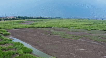 青岛国家海洋公园免费,海洋公园青岛最新