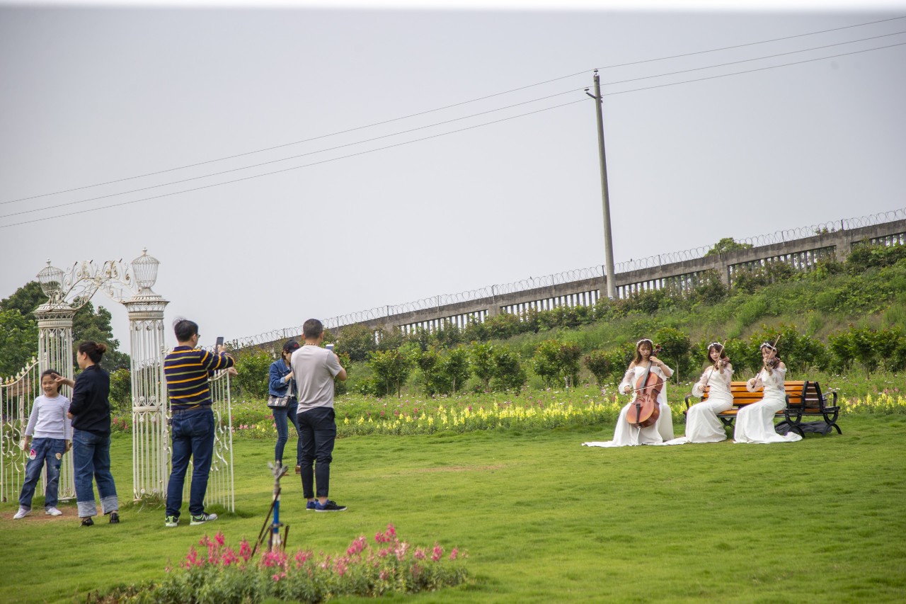 长沙洋沙湖湿地公园,湘阴洋沙湖五一活动