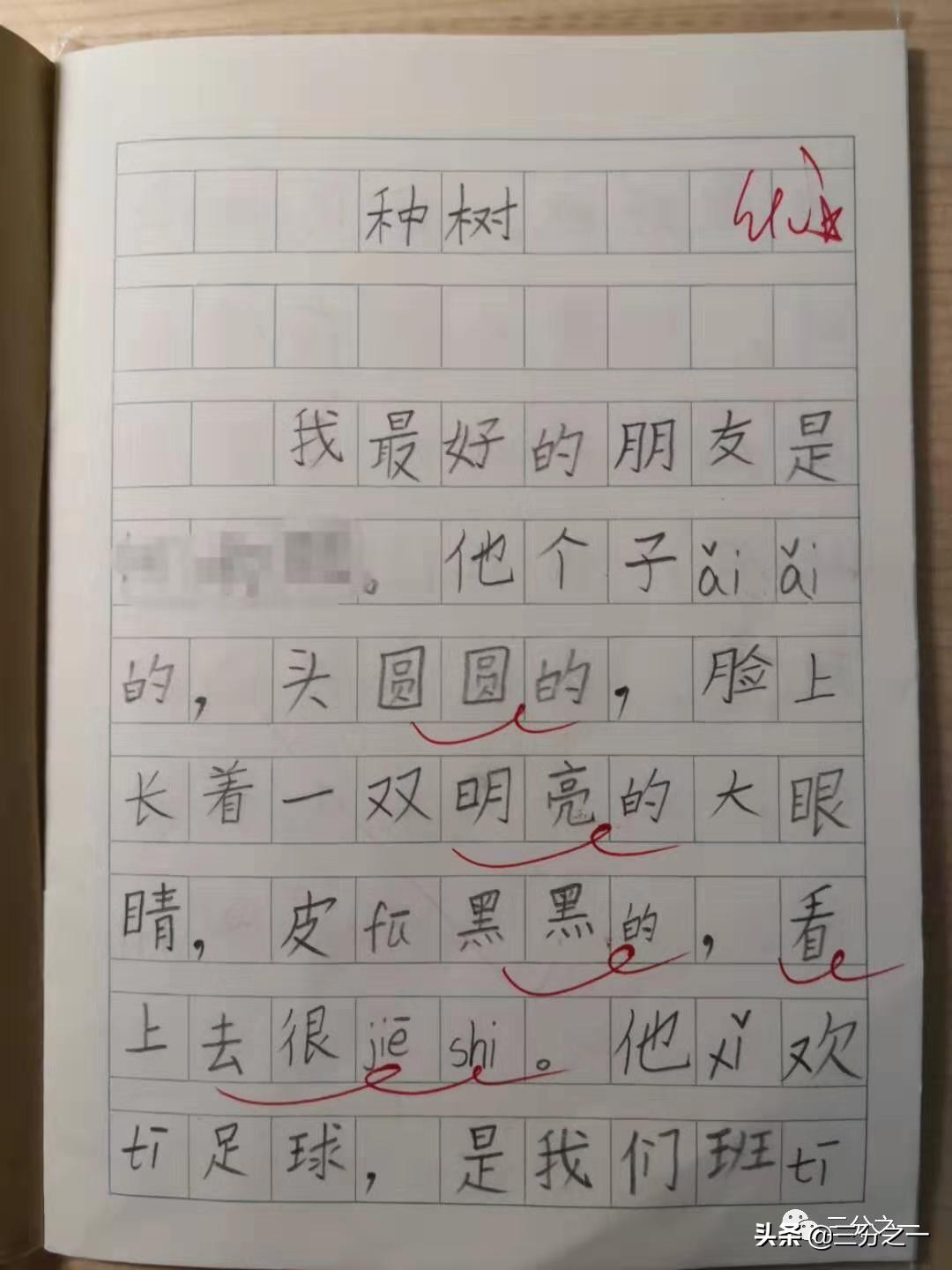 不亮也光：期末考试前一晚，我这样给孩子复习语文