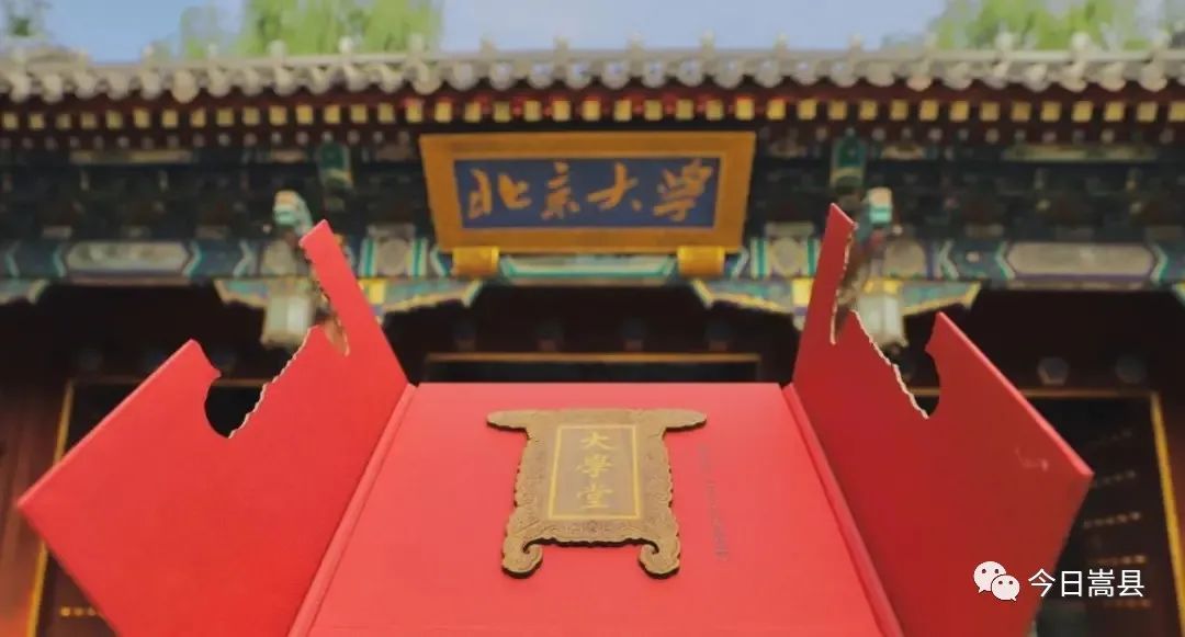 嵩县一高刘洪冶简介,嵩县刘洪冶是哪年考生