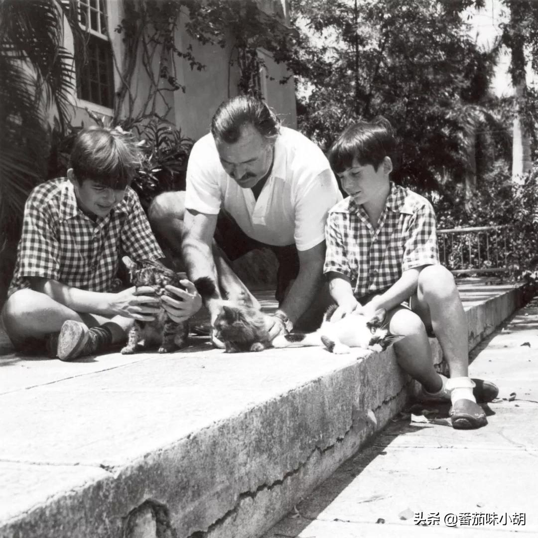 海明威一生风流,4任妻子,无数情人,好友:不如此,写不出巨作