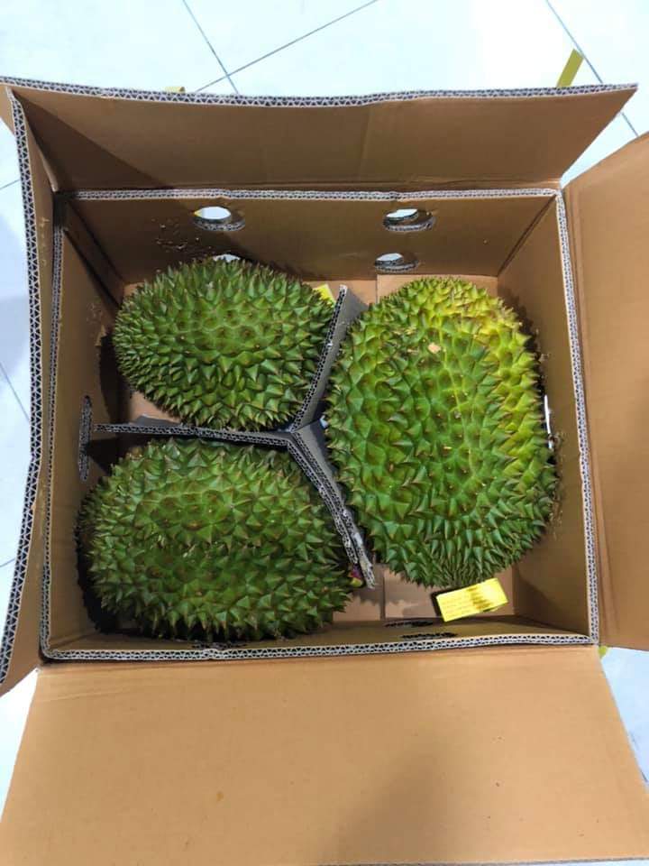 榴莲品种d13,泰国榴莲d197是什么品种